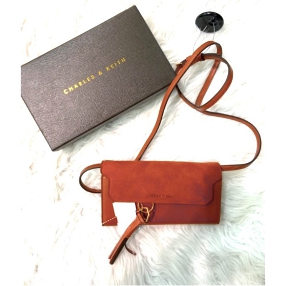 SOLD! Charles & Keith Cross Body Purse *Host Pick* - Picture 3 of 9